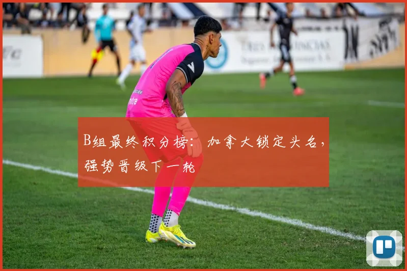 B组最终积分榜：加拿大锁定头名，强势晋级下一轮
